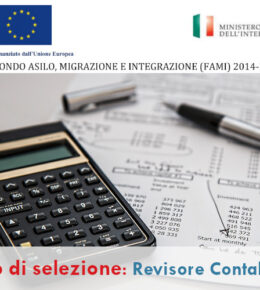 Avviso di selezione per revisore contabile nell’ambito del progetto LOVIT finanziato a valere sul Fondo Asilo, Migrazione e Integrazione 2014-2020 (FAMI)- Cooperativa Lule Lodi